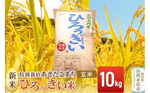 《令和8年産 新米》【玄米】あきたこまち 10kg 秋田県産 特別栽培米 ひろっきい米 [新米 あきたこまち 米 玄米 お米 おこめ ブランド米 食卓 おにぎり 秋田県産 秋田県 由利本荘市]