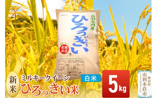 《令和8年産 新米》【白米】ミルキークイーン 5kg 秋田県産 ひろっきい米 [新米 ミルキークイーン 米 白米 精米 お米 おこめ ブランド米 食卓 おにぎり 秋田県産 秋田県 由利本荘市]