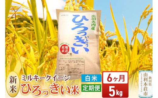《令和8年産 新米》《定期便6ヶ月》【白米】ミルキークイーン 5kg 秋田県産 ひろっきい米 [新米 ミルキークイーン 米 白米 精米 お米 おこめ ブランド米 食卓 おにぎり 秋田県産 秋田県 由利本荘市]