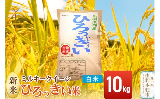 《令和8年産 新米》【白米】ミルキークイーン 10kg 秋田県産 ひろっきい米 [新米 ミルキークイーン 米 白米 精米 お米 おこめ ブランド米 食卓 おにぎり 秋田県産 秋田県 由利本荘市]