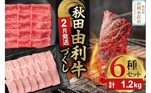 【2月発送】由利牛づくし 6種 セット 合計1.2kg まとめてお届け [先行受付 牛肉 肉 秋田由利牛 黒毛和牛 国産 しゃぶしゃぶ すき焼き 焼肉 バーベキュー 食べ比べ セット 秋田かまくらミート]