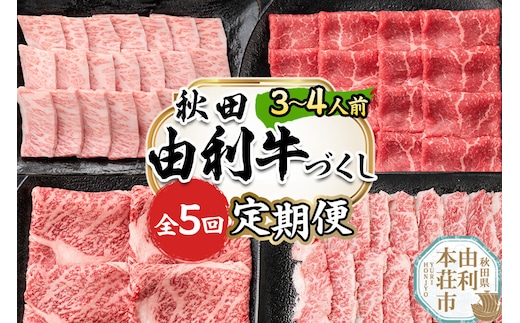 【定期便 全5回】由利牛づくし セット 合計3.12kg（目安：3～4人前） [牛肉 肉 秋田由利牛 黒毛和牛 国産 しゃぶしゃぶ すき焼き 焼肉 バーベキュー 食べ比べ セット 秋田かまくらミート]