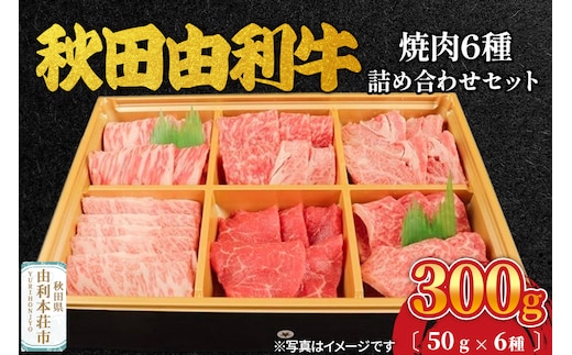 秋田由利牛 焼肉6種詰め合わせセット 300g（50g×6種）