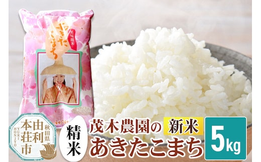 《令和8年産 新米》【精米】あきたこまち 5kg 秋田県産 茂木農園のあきたこまち [新米 米 お米 こめ 精米 あきたこまち ブランド米 銘柄米 米どころ 食卓 秋田県産 茂木農園 秋田]
