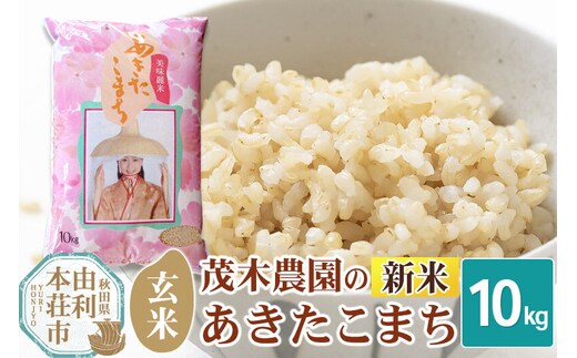 《令和8年産 新米》【玄米】あきたこまち 10kg 秋田県産 茂木農園のあきたこまち [新米 米 お米 こめ 玄米 あきたこまち ブランド米 銘柄米 米どころ 食卓 秋田県産 茂木農園 秋田]