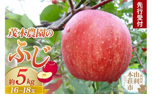《先行受付》茂木農園のりんご ふじ 約5kg 16～18玉 [りんご 林檎 リンゴ フルーツ 果実 果物 先行受付 先行予約 秋田県 由利本荘市 茂木農園]