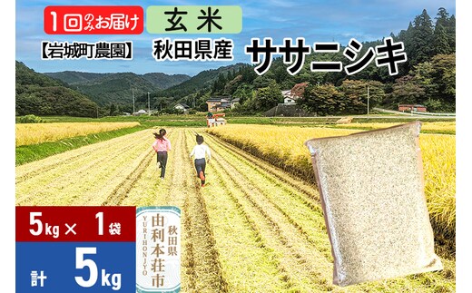 【玄米】秋田県由利本荘市産 ササニシキ 5kg(5kg×1袋) 令和7年産 真空パック 岩城町農園