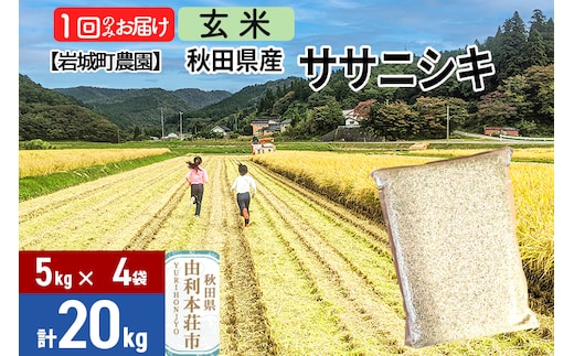 【玄米】秋田県由利本荘市産 ササニシキ 20kg(5kg×4袋) 令和7年産 真空パック 岩城町農園