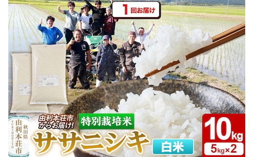 【白米】特別栽培米 ササニシキ 10kg（5kg×2袋）令和7年産 [ササニシキ 米 お米 白米 精米 特別栽培米 ブランド米 食卓 秋田県産 秋田県 由利本荘市]