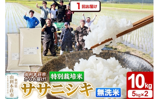 令和7年産【無洗米】特別栽培米 ササニシキ 10kg（5kg×2袋）秋田県産 [ササニシキ 米 お米 白米 精米 無洗米 特別栽培米 ブランド米 食卓 秋田県産 秋田県 由利本荘市]
