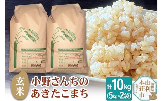 【玄米】小野さんちのあきたこまち(5kg×2袋) 計10kg 令和7年産 [あきたこまち 米 お米 こめ 玄米 ブランド米 食卓 おにぎり 秋田県産 秋田]