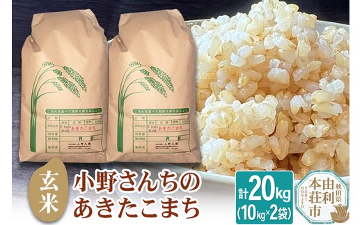 【玄米】小野さんちのあきたこまち(10kg×2袋) 計20kg 令和7年産 [あきたこまち 米 お米 こめ 玄米 ブランド米 食卓 おにぎり 秋田県産 秋田]