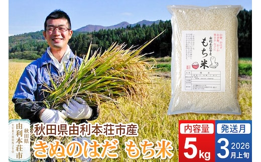 《予約受付》【2026年3月上旬発送・お彼岸】令和7年産【もち米】 5kg 秋田県 由利本荘市産 きぬのはだ 精米 5kg