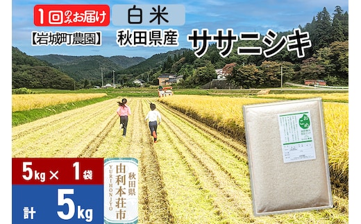 《令和7年産》【白米】ササニシキ 5kg(5kg×1袋) 秋田県 由利本荘市産 令和7年産 真空パック 岩城町農園