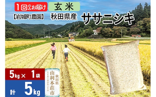 《令和7年産》【玄米】ササニシキ 5kg(5kg×1袋) 秋田県 由利本荘市産 令和7年産 真空パック 岩城町農園