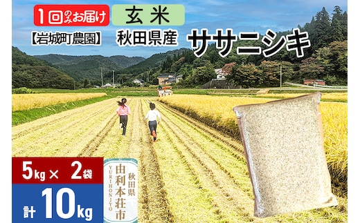 《令和7年産》【玄米】ササニシキ 10kg(5kg×2袋) 秋田県 由利本荘市産 令和7年産 真空パック 岩城町農園