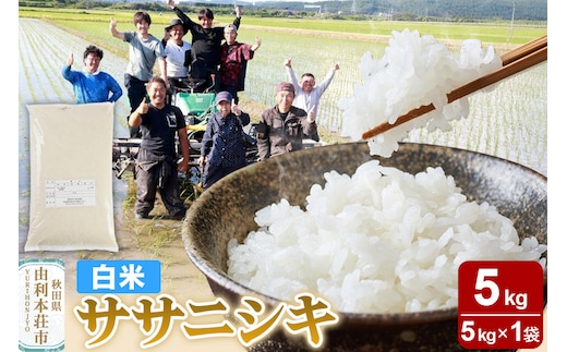【白米】秋田県由利本荘市産 ササニシキ 5kg（5kg×1袋）令和6年産