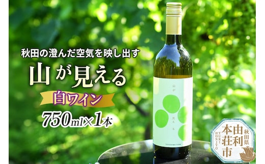 白ワイン「山が見える」（スティルワイン白）750ml×1本 [白ワイン ワイン 酒 お酒 アルコール 飲料 国産 日本産 秋田 TOYOSHIMA FARM]