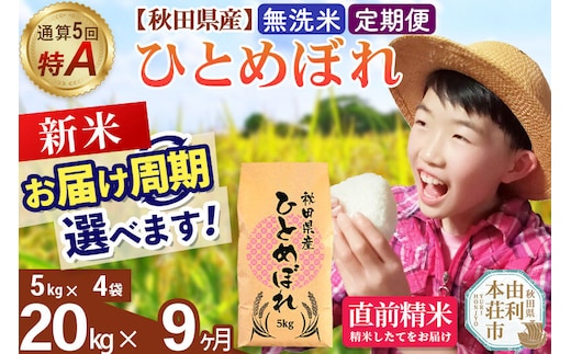 《令和8年産 新米受付》《定期便9ヶ月》【無洗米】通算5回特A 秋田県産ひとめぼれ 20kg(5kg×4袋)×9回 お届け周期調整 隔月に調整OK [米 無洗米 白米 特A 精米 秋田県 東北 お米 ひとめぼれ 小袋 小分け 直前精米 おいしい米 おすすめ]