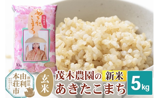 《令和7年産 新米》【玄米】あきたこまち 5kg 秋田県産 茂木農園のあきたこまち ブランド米 銘柄米 米どころ 秋田県 由利本荘市