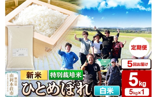 ＜令和8年産 新米＞《定期便5ヶ月》【白米】特別栽培米 ひとめぼれ 5kg 秋田県産 [ひとめぼれ 新米 米 お米 白米 精米 特別栽培米 ブランド米 食卓 おにぎり 秋田県産 秋田]