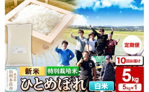 ＜令和8年産 新米＞《定期便10ヶ月》【白米】特別栽培米 ひとめぼれ 5kg 秋田県産 [ひとめぼれ 新米 米 お米 白米 精米 特別栽培米 ブランド米 食卓 おにぎり 秋田県産 秋田]