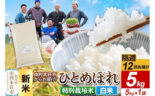 ＜令和8年産 新米＞《2週間毎お届け》【定期便12回】【白米】ひとめぼれ 5kg（5kg×1袋）特別栽培米 秋田県産 [ひとめぼれ 新米 米 お米 白米 精米 特別栽培米 ブランド米 食卓 おにぎり 秋田県産 秋田]