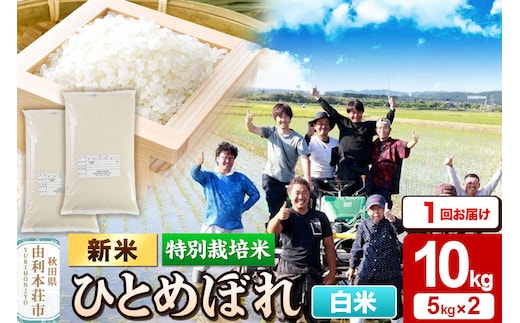 ＜令和8年産 新米＞【白米】特別栽培米 ひとめぼれ 10kg（5kg×2袋）秋田県産 [ひとめぼれ 新米 米 お米 白米 精米 特別栽培米 ブランド米 食卓 おにぎり 秋田県産 秋田]