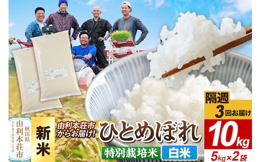 ＜令和8年産 新米＞《2週間毎お届け》【定期便3回】【白米】ひとめぼれ 10kg（5kg×2袋）特別栽培米 秋田県産 [ひとめぼれ 新米 米 お米 白米 精米 特別栽培米 ブランド米 食卓 おにぎり 秋田県産 秋田]