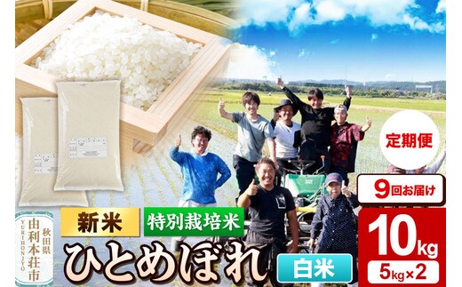 ＜令和8年産 新米＞《定期便9ヶ月》【白米】特別栽培米 ひとめぼれ 10kg（5kg×2袋）秋田県産 [ひとめぼれ 新米 米 お米 白米 精米 特別栽培米 ブランド米 食卓 おにぎり 秋田県産 秋田]