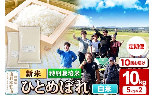 ＜令和8年産 新米＞《定期便10ヶ月》【白米】特別栽培米 ひとめぼれ 10kg（5kg×2袋）秋田県産 [ひとめぼれ 新米 米 お米 白米 精米 特別栽培米 ブランド米 食卓 おにぎり 秋田県産 秋田]