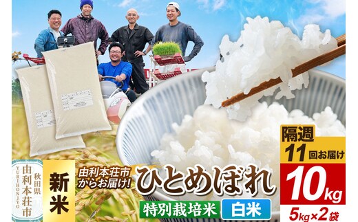 ＜令和8年産 新米＞《2週間毎お届け》【定期便11回】【白米】ひとめぼれ 10kg（5kg×2袋）特別栽培米 秋田県産 [ひとめぼれ 新米 米 お米 白米 精米 特別栽培米 ブランド米 食卓 おにぎり 秋田県産 秋田]