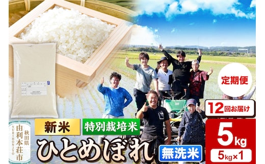 ＜令和8年産 新米＞《定期便12ヶ月》【無洗米】特別栽培米 ひとめぼれ 5kg 秋田県産 [ひとめぼれ 新米 米 お米 無洗米 特別栽培米 ブランド米 食卓 おにぎり 秋田県産 秋田]