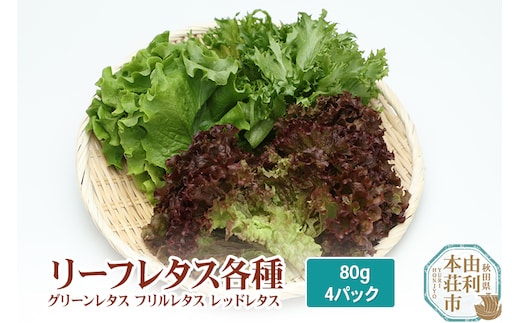 リーフレタス各種 80g×4パック グリーンレタス フリルレタス レッドレタス