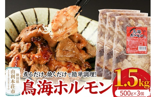 鳥海ホルモン 3個入（500g×3）