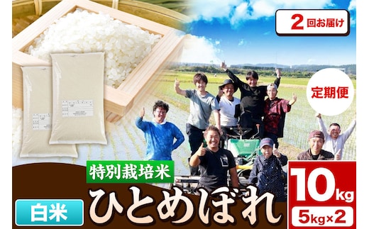 《定期便2ヶ月》令和7年産【白米】特別栽培米 ひとめぼれ 10kg（5kg×2袋）秋田県産 [ひとめぼれ 米 お米 白米 精米 特別栽培米 ブランド米 食卓 秋田県産 秋田県 由利本荘市]