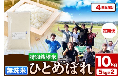 《定期便4ヶ月》令和7年産【無洗米】特別栽培米 ひとめぼれ 10kg（5kg×2袋）秋田県産 [ひとめぼれ 米 お米 無洗米 特別栽培米 ブランド米 食卓 秋田県産 秋田県 由利本荘市]
