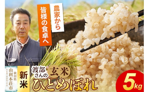 《令和8年産 新米》【玄米】 ＜通算5回 特A＞ ひとめぼれ 5kg 農家直送 渡部さんのひとめぼれ [ひとめぼれ 新米 米 お米 こめ 玄米 ブランド米 食卓 おにぎり 秋田県産 秋田県 由利本荘市]