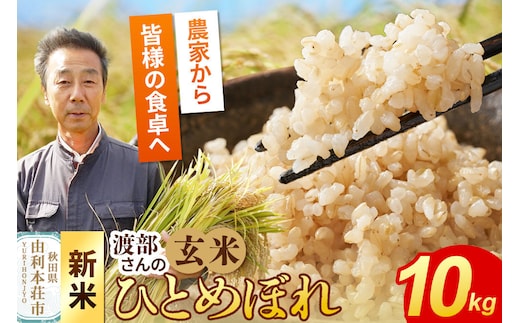《令和8年産 新米》【玄米】 ＜通算5回 特A＞ ひとめぼれ 10kg 農家直送 渡部さんのひとめぼれ [ひとめぼれ 新米 米 お米 こめ 玄米 ブランド米 食卓 おにぎり 秋田県産 秋田県 由利本荘市]