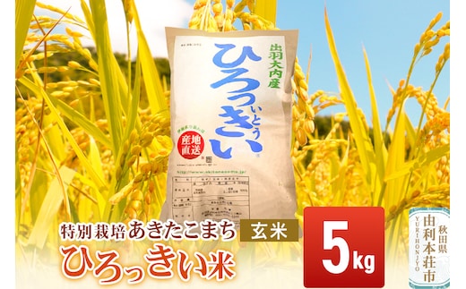 【玄米】 秋田県産 あきたこまち 5kg 令和7年産 特別栽培米 ひろっきい米