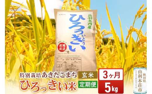 《定期便3ヶ月》【玄米】 秋田県産 あきたこまち 5kg 令和7年産 特別栽培米 ひろっきい米