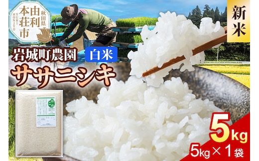 《令和8年産 新米》【白米】ササニシキ 5kg(5kg×1袋) 秋田県 由利本荘市産 真空パック 岩城町農園 [新米 米 お米 精米 秋田県産 ササニシキ 白米 ブランド米 食卓 おにぎり 秋田県産 秋田]
