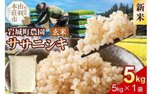 《令和8年産 新米》【玄米】ササニシキ 5kg(5kg×1袋) 秋田県 由利本荘市産 真空パック 岩城町農園 [新米 米 お米 玄米 秋田県産 ササニシキ ブランド米 食卓 おにぎり 秋田県産 秋田]