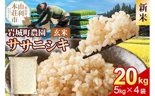 《令和8年産 新米》【玄米】ササニシキ 20kg(5kg×4袋) 秋田県 由利本荘市産 真空パック 岩城町農園 [新米 米 お米 玄米 秋田県産 ササニシキ ブランド米 食卓 おにぎり 秋田県産 秋田]