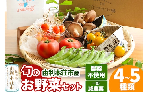 旬のお野菜セット 秋田県 由利本荘市産 栽培期間中農薬不使用 減農薬