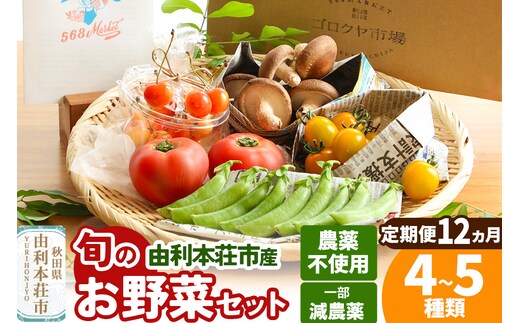 【定期便 1年分・12ヶ月】旬のお野菜セット 秋田県 由利本荘市産 栽培期間中農薬不使用 減農薬