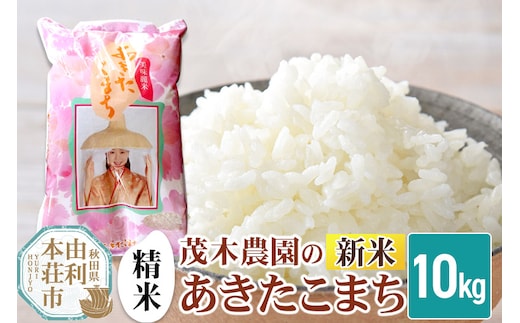 《令和7年産 新米》【精米】あきたこまち 10kg 秋田県産 茂木農園のあきたこまち ブランド米 銘柄米 米どころ 秋田県 由利本荘市