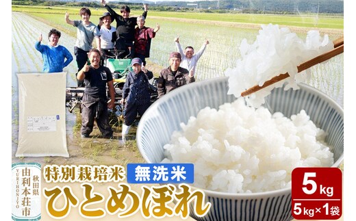 【無洗米】秋田県由利本荘市産 特別栽培米 ひとめぼれ 5kg（5kg×1袋）令和7年産