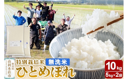 【無洗米】秋田県由利本荘市産 特別栽培米 ひとめぼれ 10kg（5kg×2袋）令和7年産