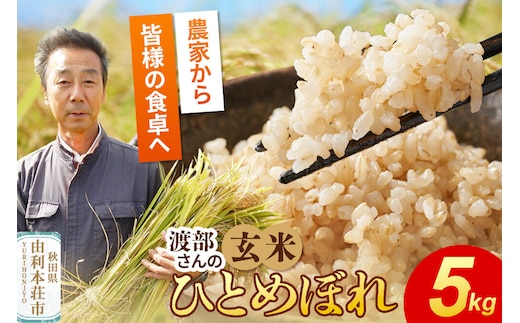 【玄米】 ＜通算5回 特A＞ ひとめぼれ 5kg 令和7年産 農家直送 渡部さんのひとめぼれ [ひとめぼれ 米 お米 こめ 玄米 ブランド米 食卓 おにぎり 秋田県産 秋田県 由利本荘市]